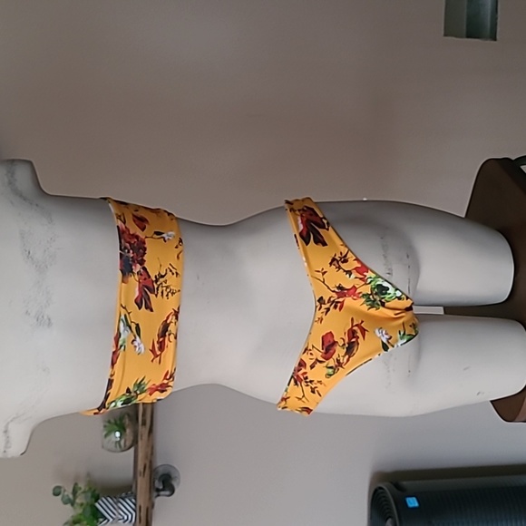 Gold/ Orange Bikini - Picture 5 of 6